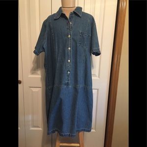 Chambray Dress
